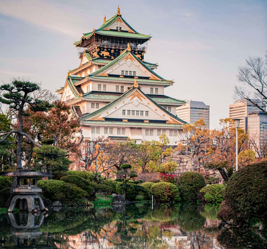Osaka private Luxury Vehicle Tour:Freely Customized - Osaka Castle Park and a spring view