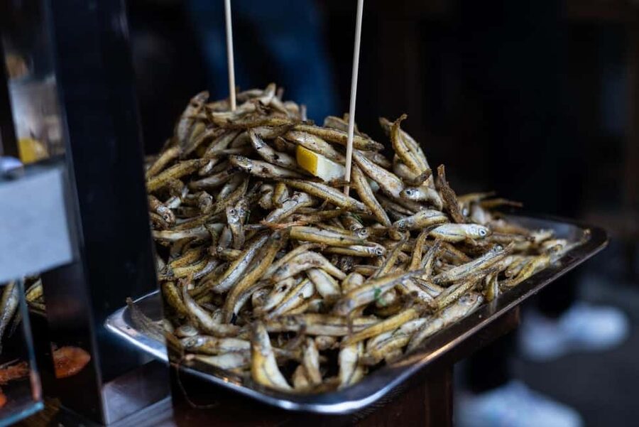 Palermo: street food walking tour - How the price compares with the experience