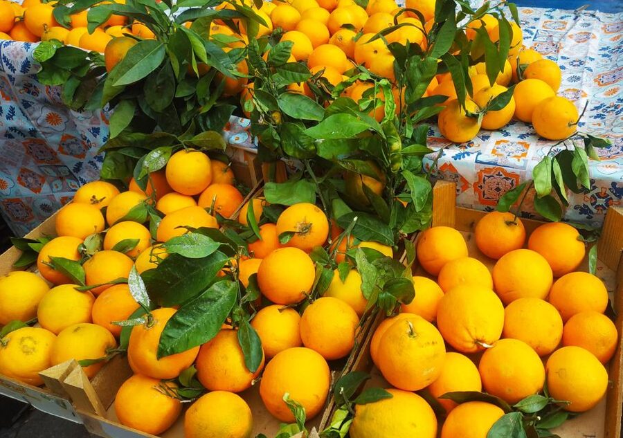 Palermo: Street Food Walking Tour with Local Guide & Tasting - Walking past Palermo’s major sights