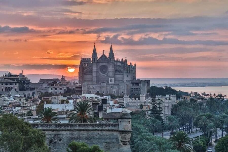Palma de Mallorca : Best Street Food Tour With A Local Guide - Es Baluard Museum: city views with a snack