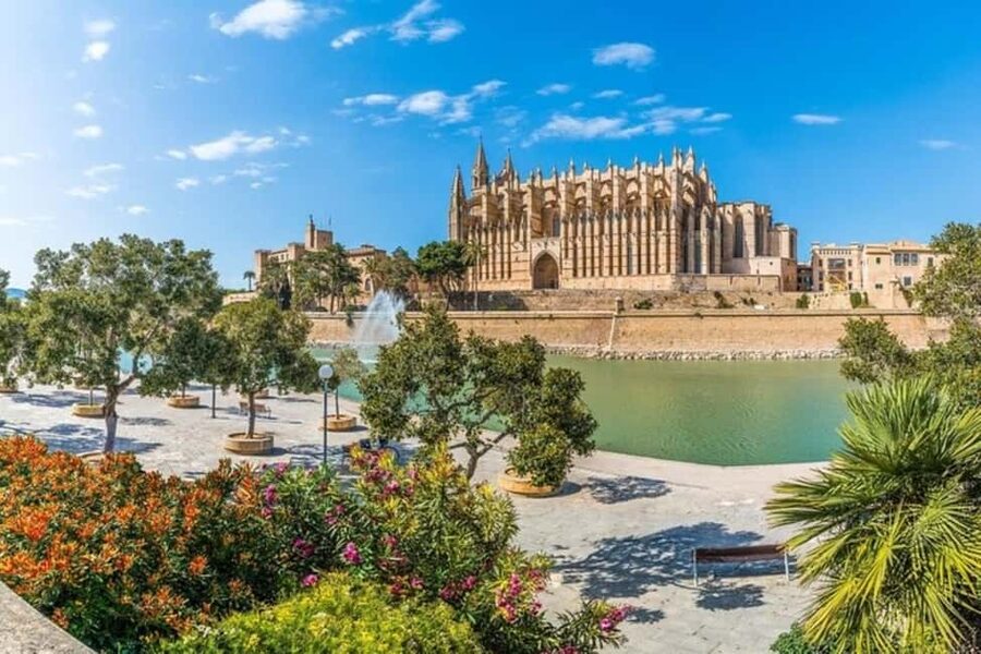 Palma de Mallorca : Best Street Food Tour With A Local Guide - Who will enjoy this Palma food tour?