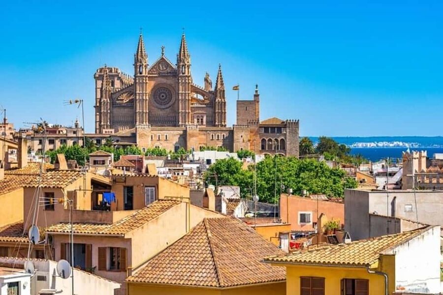 Palma de Mallorca : Best Street Food Tour With A Local Guide - S’Olivera de Cort: classic flavors in a local setting
