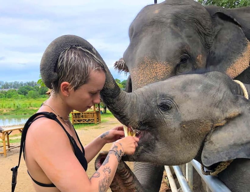 Phuket City Tour with Night Market Visit & Elephant Feeding - Key points to know before booking