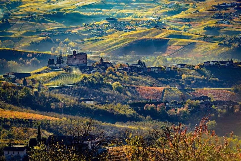 Piedmont: Winery Tour, Taste Barolo, Barbaresco & Local Food - Barolo Chinato, grappa, and estate olive oil