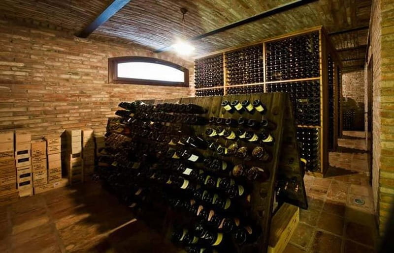 Piedmont: Winery Tour, Taste Barolo, Barbaresco & Local Food - Local food that makes the tasting work