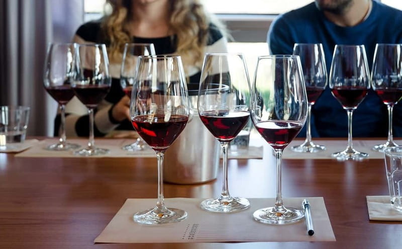 Piedmont: Winery Tour, Taste Barolo, Barbaresco & Local Food - Walking through the vineyard before the cellar