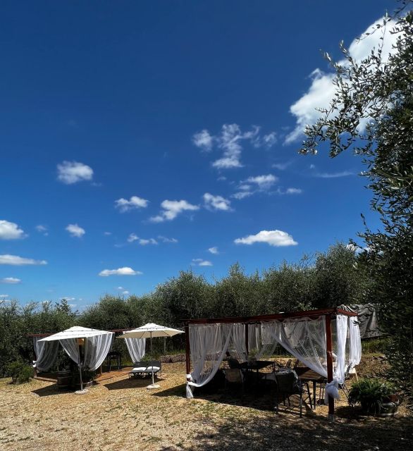 Pisa: Winery Tour and Wine Tasting with Local Food Pairing - Key points at a glance