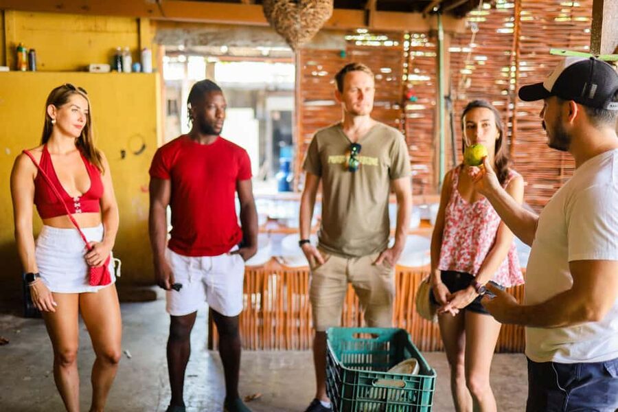 Playa del Carmen: 3-Hour Local Food Walking Tour - Street art adds a local history lesson