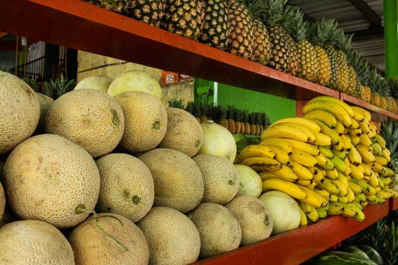Playa del Carmen: Vegan Food Walking Tour - Key points to know before you book