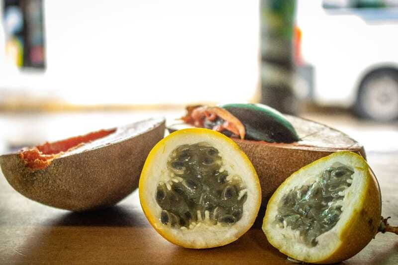 Playa del Carmen: Vegan Food Walking Tour - Start at Juarez Avenue and 10th Avenue