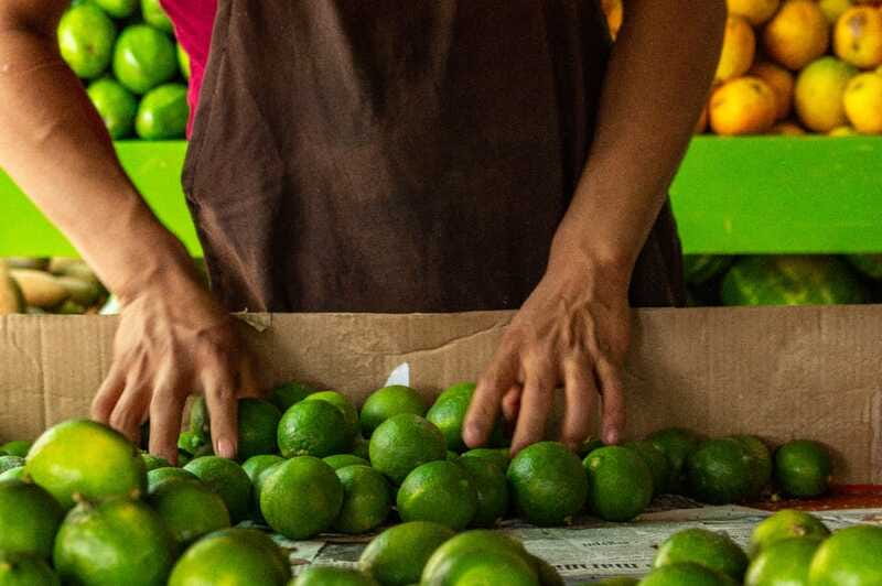 Playa del Carmen: Vegan Food Walking Tour - Is $97 a fair price?