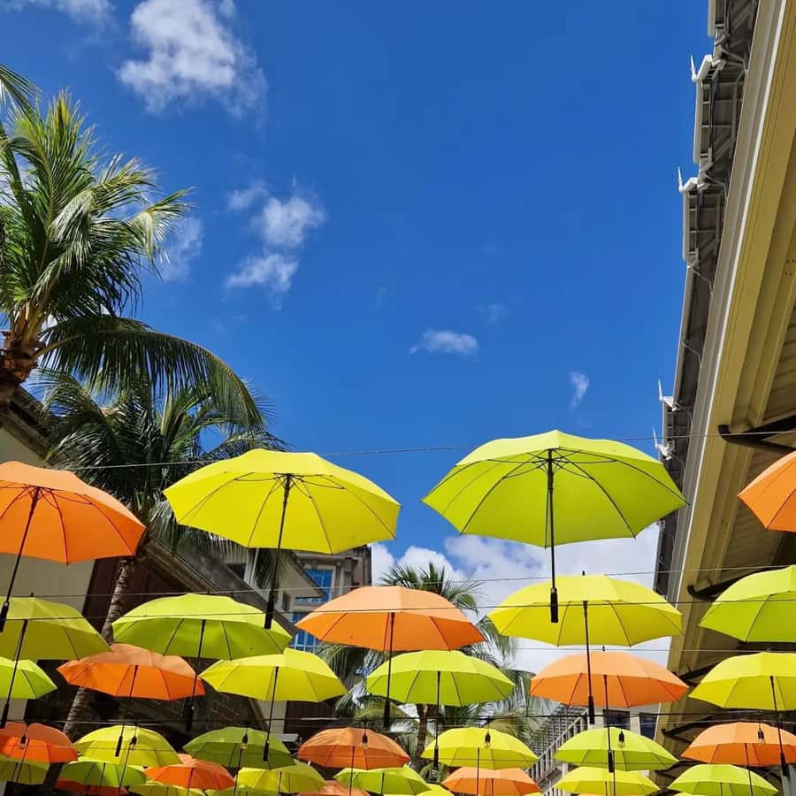 Port Louis: City Tour with Street Food Tasting - Fort Adelaide and the Story of the Capital