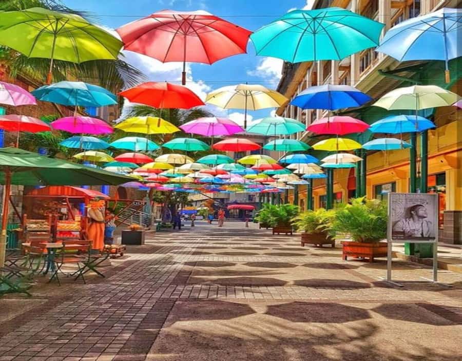 Port Louis: Private Guided Tour and Street Food Tasting - Key points to know before booking
