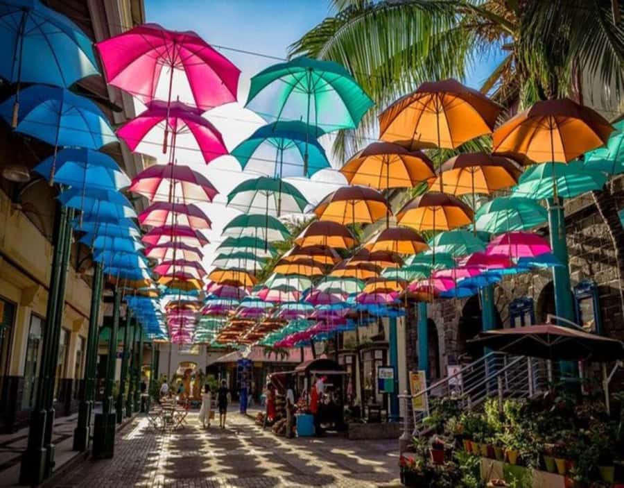 Port Louis: Private Guided Tour and Street Food Tasting - The Natural History Museum and Citadelle Fort