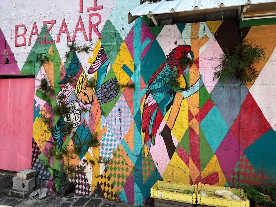 Port Louis: Street Food & City Tour - Dietary limits and who should book