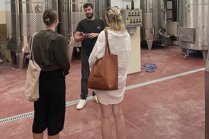 Premium Cretan Olive Oil Tasting, Wine, Raki and Local Food Tour - Who will enjoy this tour most?
