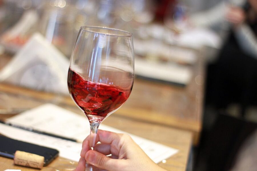 Premium Empanadas Cooking Class & Wine Tasting Experience - The guides make the difference