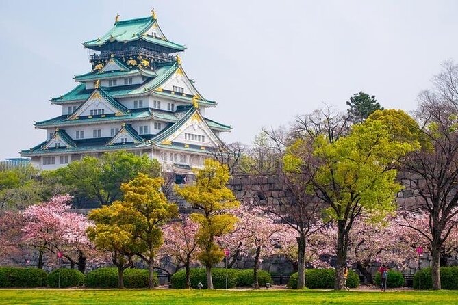 PRIVATE 6hr, Food tour from Osaka Castle, Kuromon, Dotonbori. - Key points at a glance