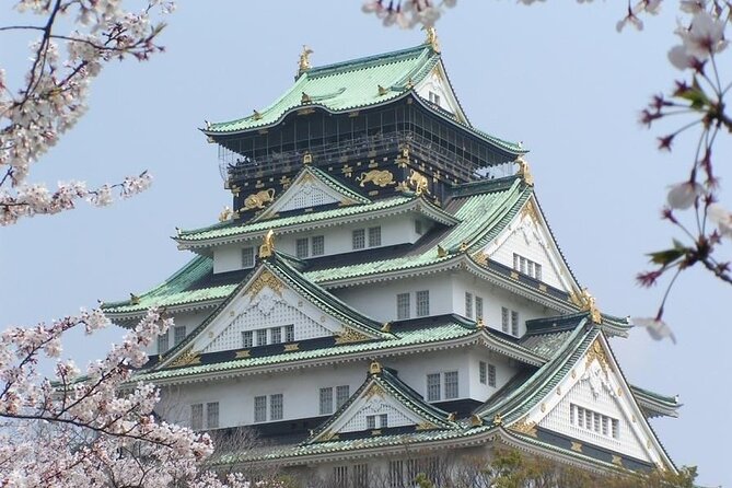 PRIVATE 6hr, Food tour from Osaka Castle, Kuromon, Dotonbori. - Guide style and the flexibility you can expect