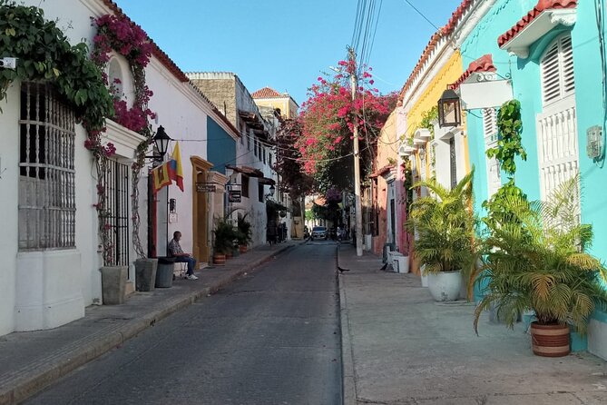 Private Cartagena city and street food tour. - Who should book this Cartagena tour?