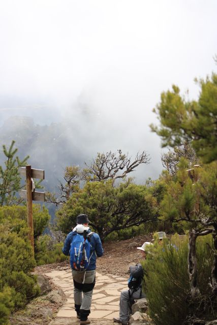 Private - Gastro Hike with Levada Walk and Local Food - The white Kia Stonic pickup
