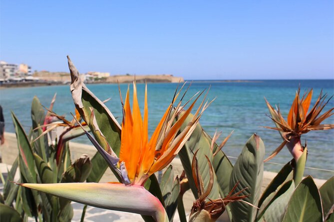 Private History, Sights, and Food Walking Tour of Chania City - Key points at a glance