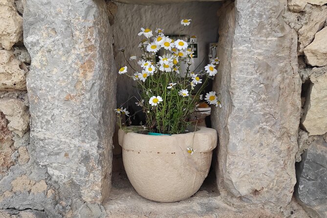 Private History, Sights, and Food Walking Tour of Chania City - Walking from Venetian walls to Ottoman homes