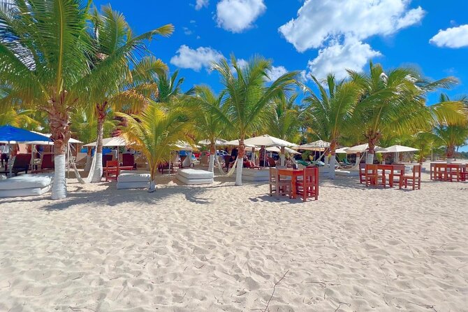Private Jeep or Buggy Tour Snorkeling Maya Park and Tacos - Cruise timing, pickup, and what to bring