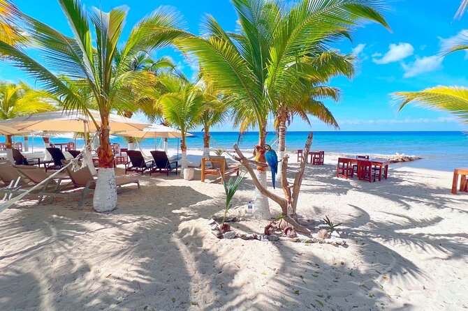 Private Jeep or Buggy Tour Snorkeling Maya Park and Tacos - Who should book this Cozumel tour?