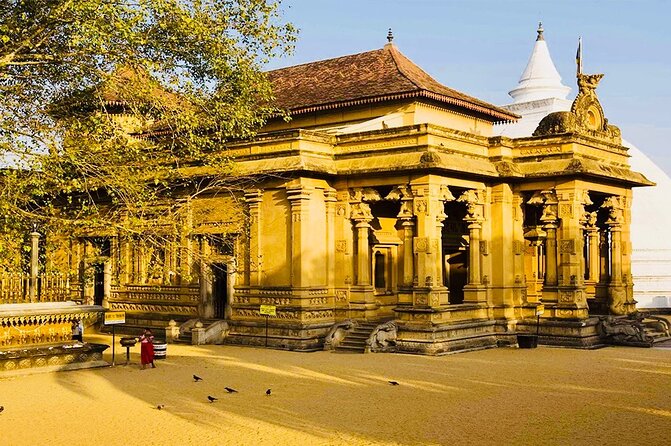 Private Night Tour in Colombo with Street Food Tasting - Viharamahadevi Park and Cinnamon Gardens