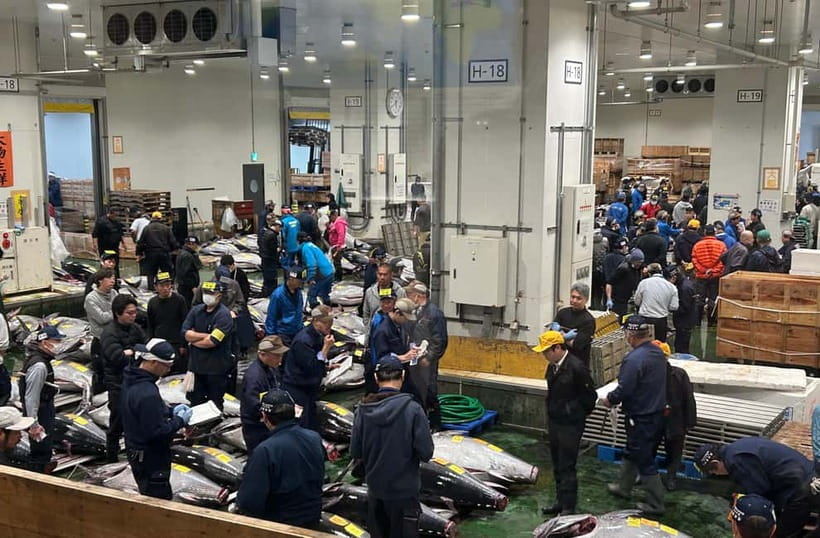 Private Toyosu & Tsukiji Market Adventure with Tuna Auction - The bus ride from Toyosu to Tsukiji