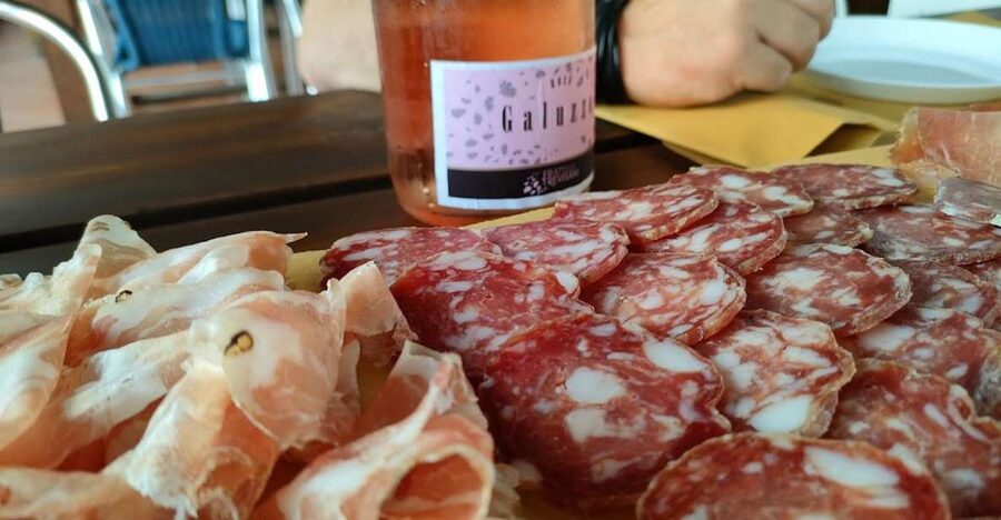 Salò: Tasting of 4 Valtenesi wines with local food - A hilltop winery with a Lake Garda view