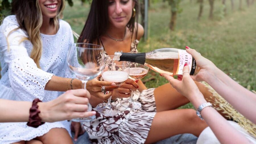 Salò: Tasting of 4 Valtenesi wines with local food - The view over the Gulf of Salò