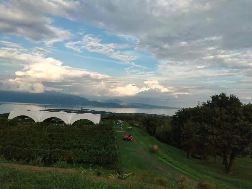 Salò: Tasting of 4 Valtenesi wines with local food - Is $46 a fair price?