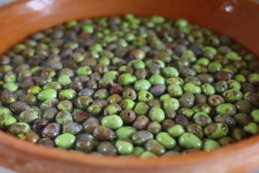 San Felice: Olive Oil Tasting with local food on Garda Hills - Why the small group changes the pace