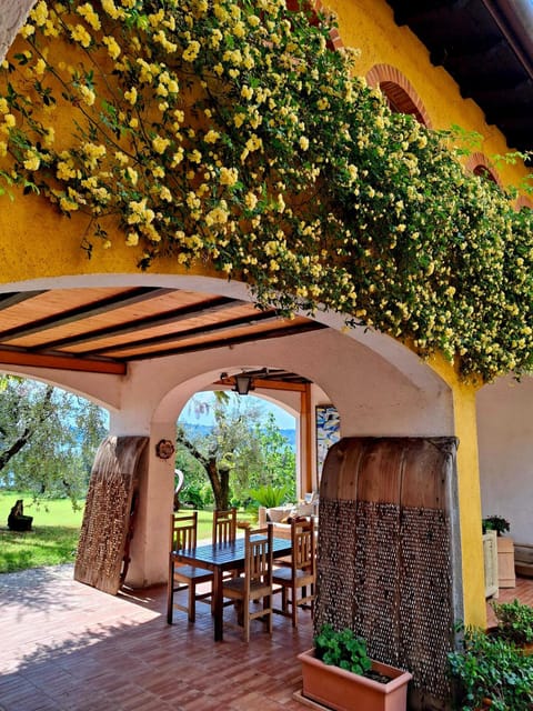 San Felice: Olive Oil Tasting with local food on Garda Hills - Learning why one olive oil matters
