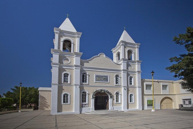 San Jose del Cabo Evening Taco Experience - Key points at a glance