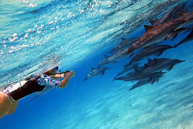 Sataya Dolphin House Snorkel Trip - Marsa Alam - Why Sataya Reef Is Worth the Long Ride