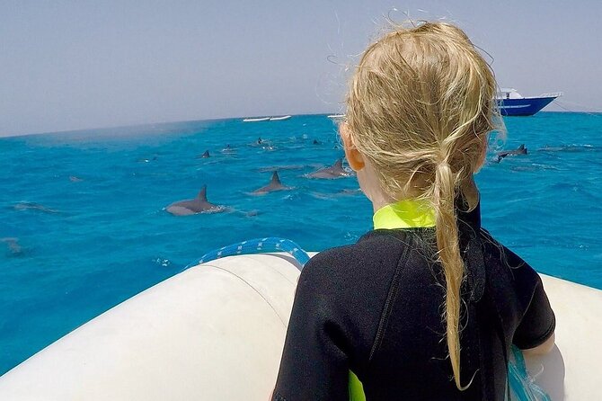 Sataya Dolphin House Snorkel Trip - Marsa Alam - First Stop: Looking for Spinner Dolphins
