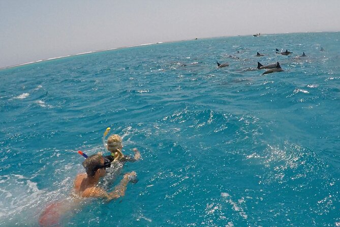 Sataya Dolphin House Snorkel Trip - Marsa Alam - Second Stop: Coral, Fish, and Clear Water
