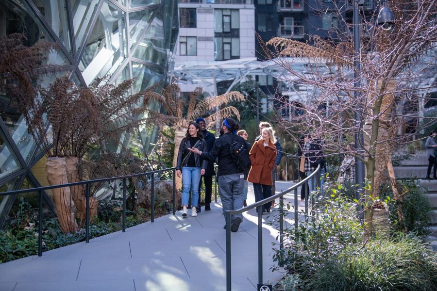 Seattle: Street Food Guided Walking Tour of South Lake Union - From tech campuses to the Amazon Spheres