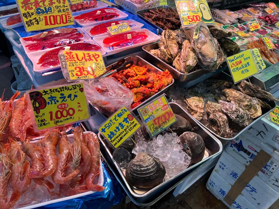 Sendai: Local Foodie Tour, wander around the gourmet town - Back streets, shrines, and a better sense of Sendai