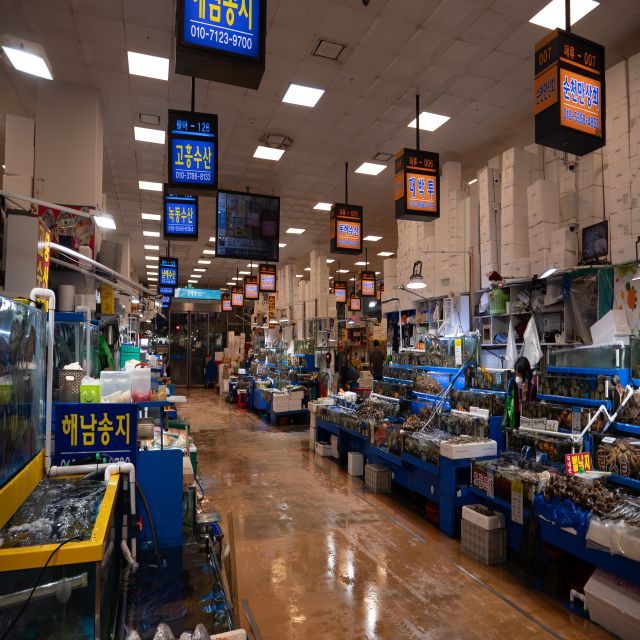 Seoul: The Biggest Sea-food Noryangjin Market Tour - Who Will Get the Most From This Tour