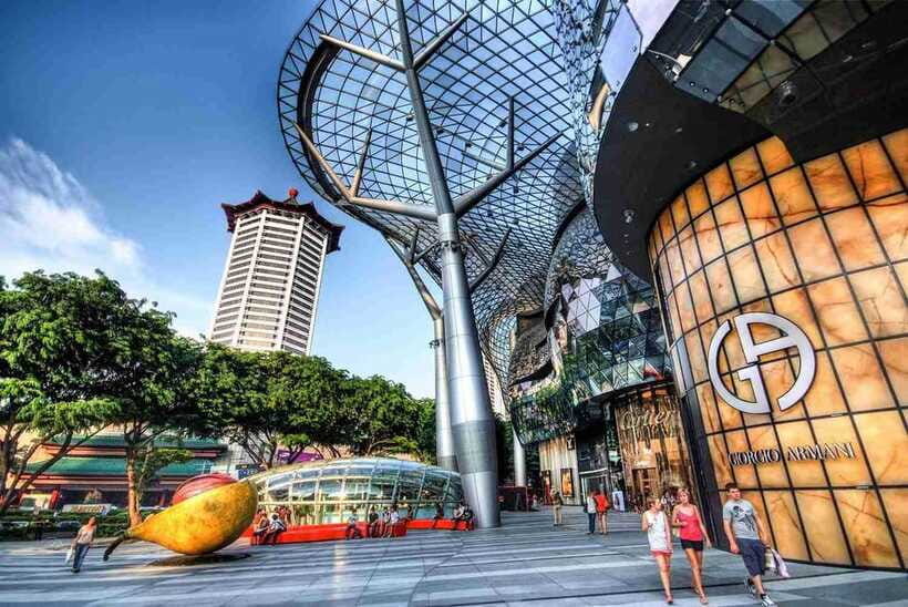 Singapore Limousine Van Tour: ️ Shopping & Street Food Trail - Who should book this Singapore route?
