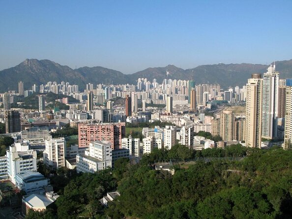 Small Group Kowloon Michelin Rated Street Food and Culture Tour - Key points at a glance