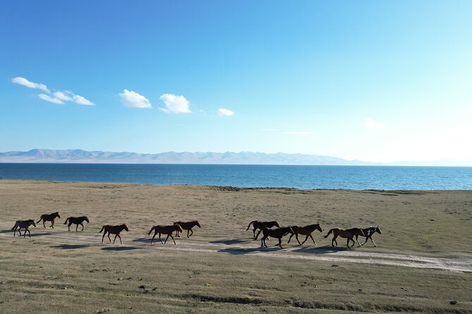 Son Kul Lake Two Day Nomad Tour with Yurt Stay and Local Food - The return through Kochkor