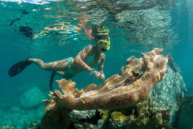 St. John Full-Day Lime Out Snorkel Taco Lunch & Open Bar - Westin - Lime Out brings the unusual lunch stop