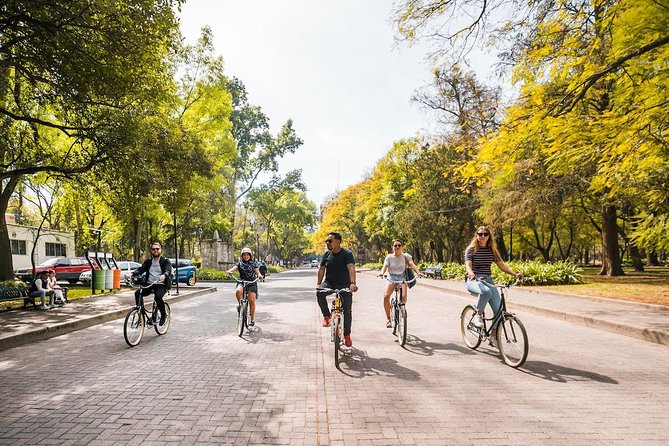 Street Food Bike Tour / Mexico is not only Tacos / All Inclusive - A Quiet Pause at Audiorama and Chapultepec Park