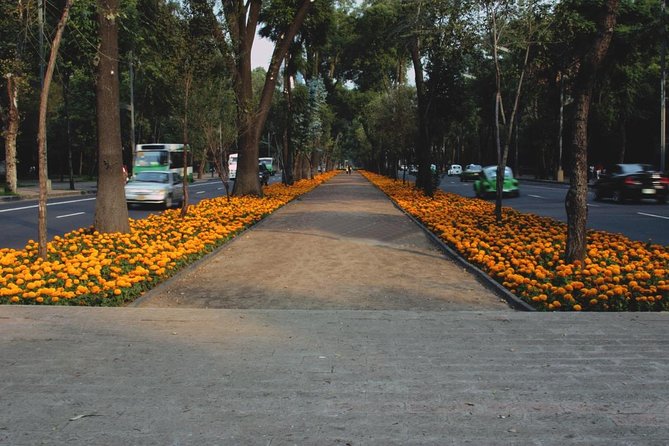 Street Food Tour with Friends - Condesa: architecture, parks, and a relaxed start