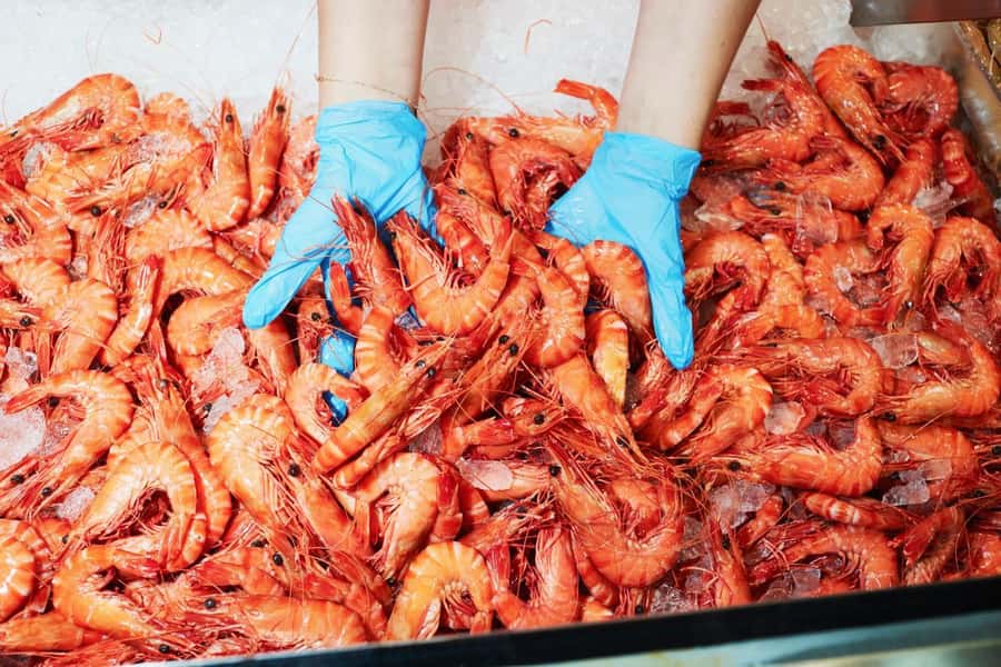 Sydney: Fish Market Food Tour - Why this Sydney Fish Market walk is worth your time